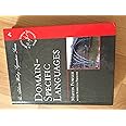 Domain-Specific Languages (Addison-Wesley Signature Series (Fowler))