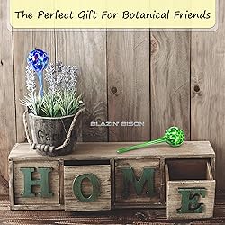 Blazin Self Watering Bulbs for Plants | Automatic