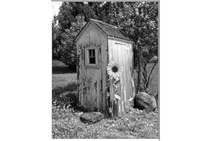 LITTLEPIECREATIONS Black White Vintage Outhouse Bathroom Wall Art, Photography Art, Outhouse Sunflower Country Farmhouse Matted Wall Decor (Handmade) (Black White)