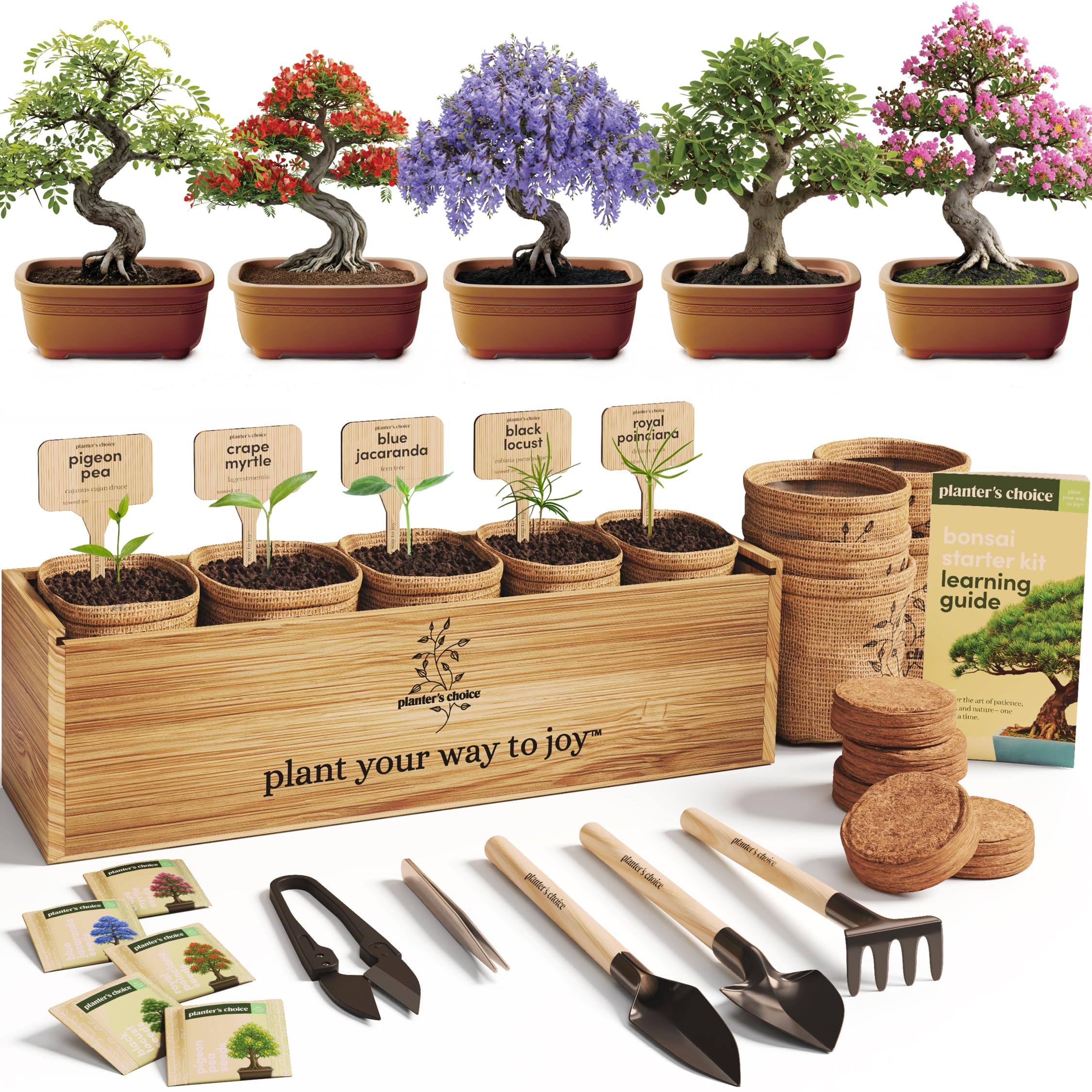 Photo 1 of Planter's Choice Bonsai Tree Starter Kit - Unique Gifts for Women, Men - Christmas Gifts for Adults - Indoor Live House Plants - DIY Crafts for Adults Craft Kits - Hobby Gift for Gardening Lovers