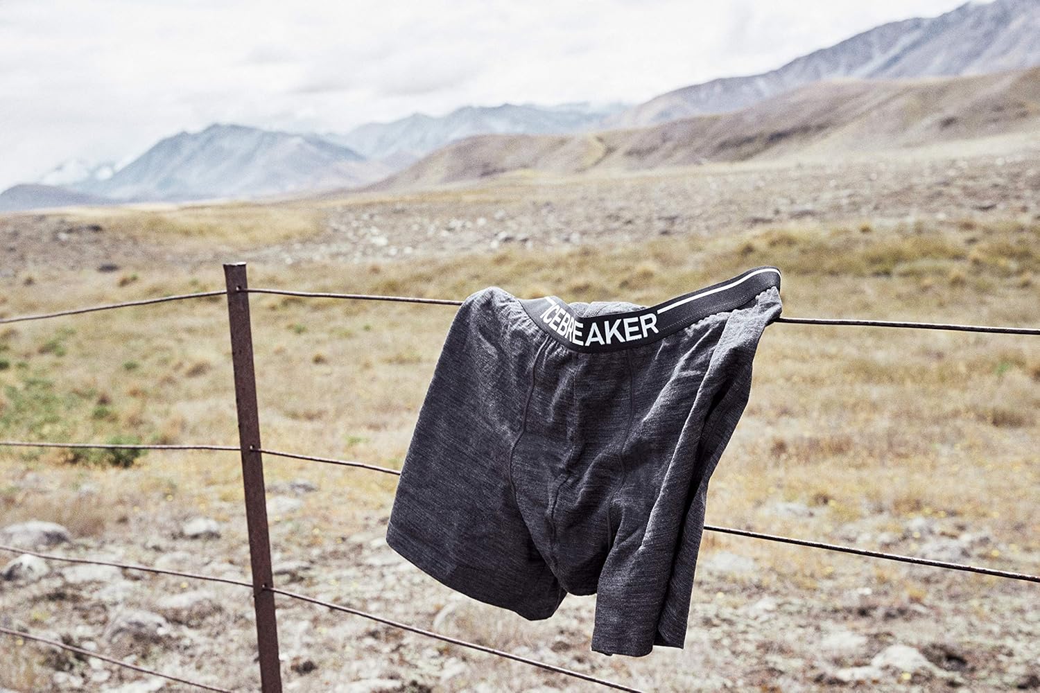 Icebreaker Merino Men's Anatomica Boxer Underwear: Clothing