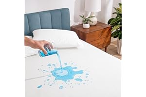 Bare Home Queen Size Premium Mattress Protector - 100% Waterproof - Vinyl Free Hypoallergenic - 10 Year Warranty - (Queen, Wh