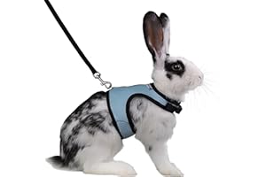 Niteangel Adjustable Soft Harness with Elastic Leash for Rabbits (L, Blue)