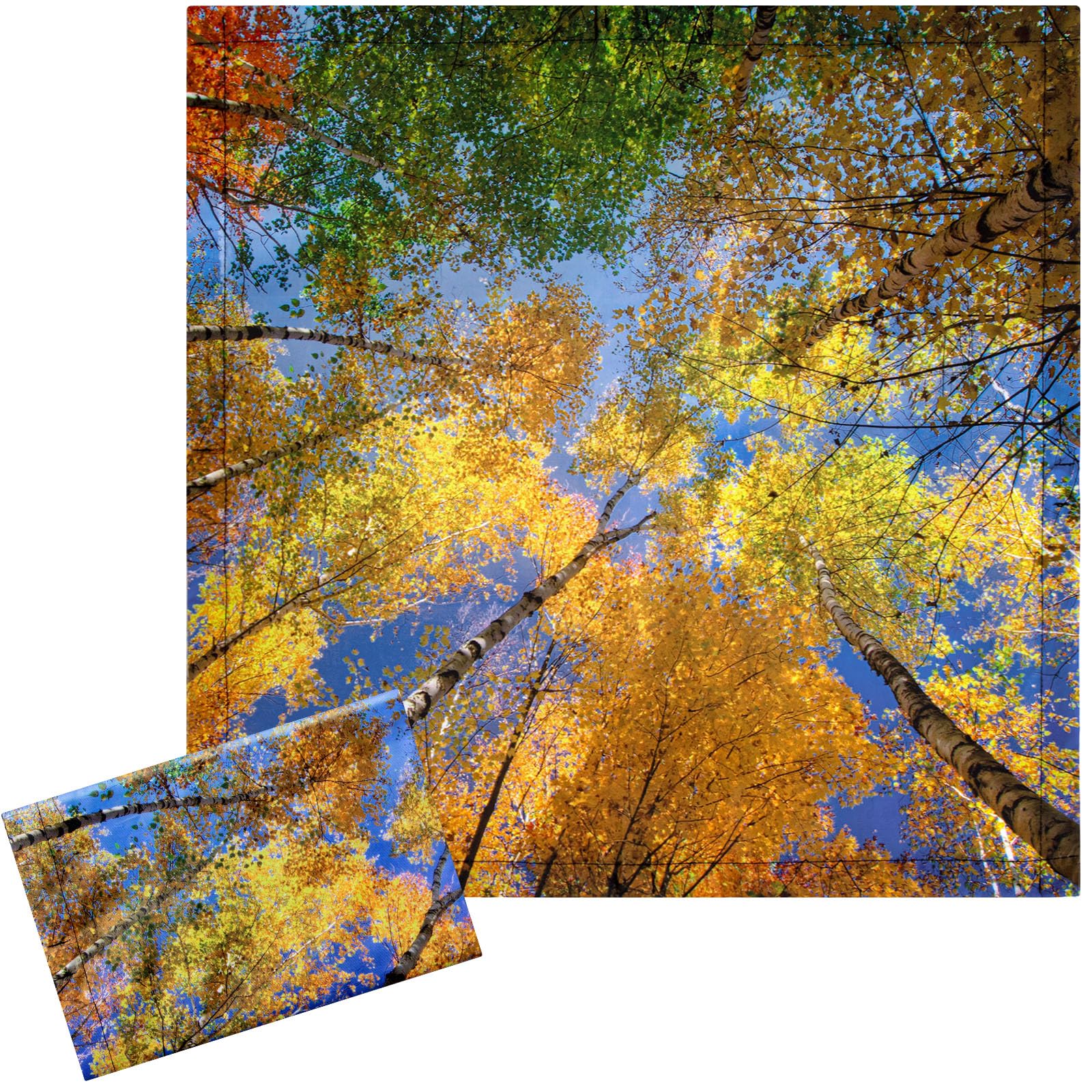 Photo 1 of Baquler 2 Pcs 2 x 2 ft Fluorescent Light Covers for Ceiling Lights Classroom Magnetic Light Filters for Reducing Harsh Glare Flicker for Office Classroom Home Drop Ceiling(Fall Forest)