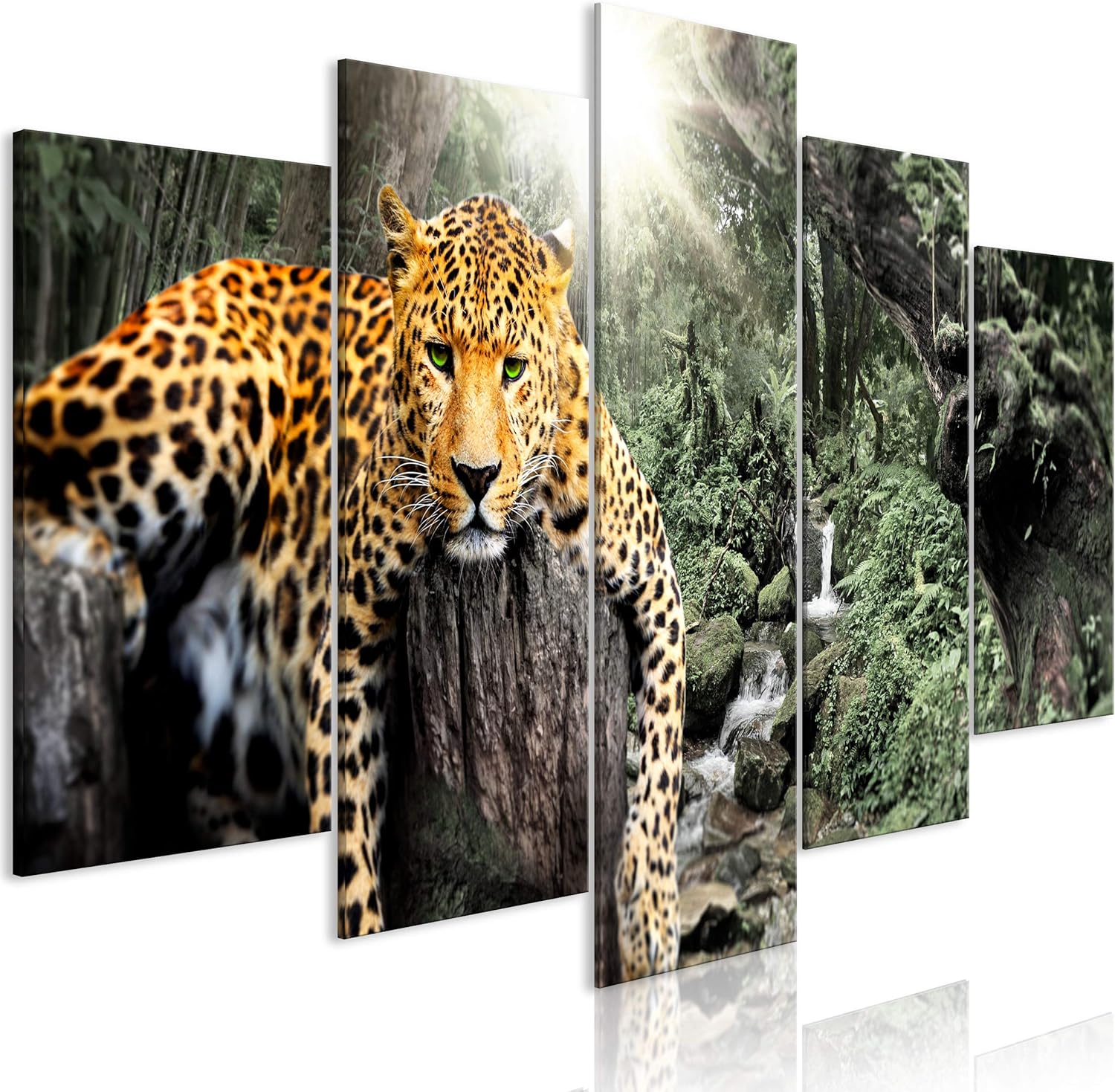 Forwall Leinwandbild Jaguar - 60x40cm Dschungel Tiere Modern Wandbild