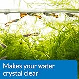 API ACCU-CLEAR Freshwater Aquarium Water Clarifier 8-Ounce Bottle view 5