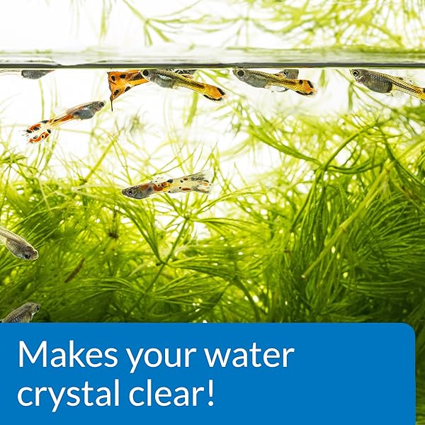 API ACCU-CLEAR FRESHWATER AQUARIUM WATER CLARIFIER 8-OUNCE BOTTLE