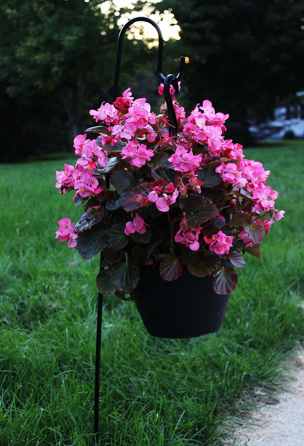 shepherd hooks for flowers on Amazon Com Joiedomi 39 Inches Shepherd Hook Garden Hook Hanger Premium Metal Rust Resistant For Hanging Plants Solar Lights Lanterns Bird Feeders Etc 2 Pack Garden Outdoor