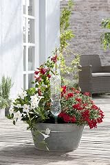 Blumat Easy XL Self Watering Spikes - 2 Pack for Indoor Plants view 5