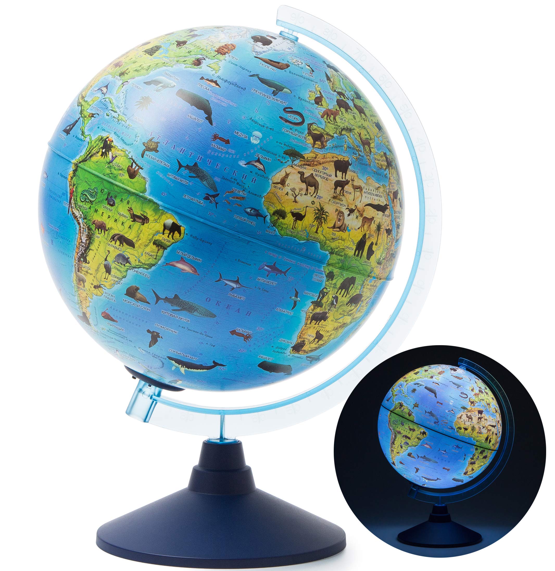 Exerz 25CM Zoo-Geo Illuminated Globe with Cable Free LED Light/ 2 in 1/ Day and Night - English Map - Physical and Zoo Dual Map - Light up globe - Educational and Fun, For School, Children, Family