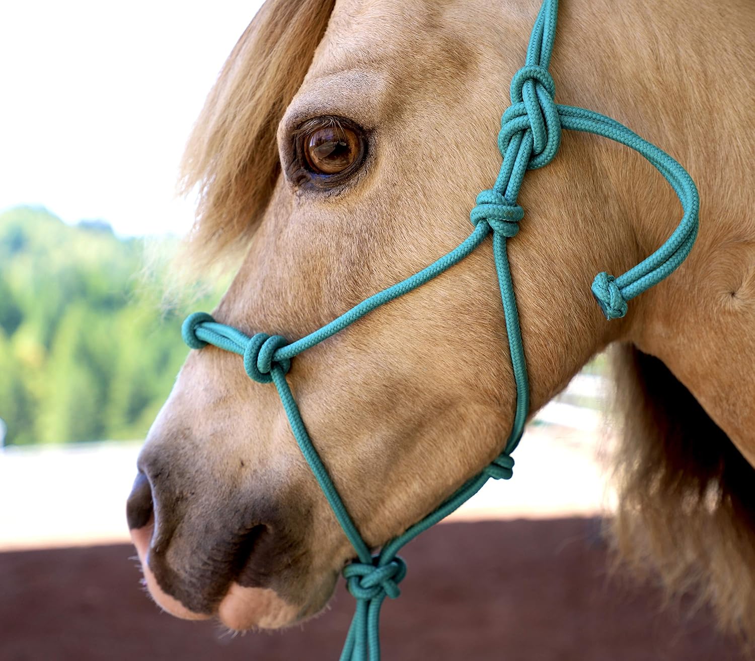 (Teal, Set Lead 8 & Halter Rope Knotted 4 MiniPony Large Pony) 3842