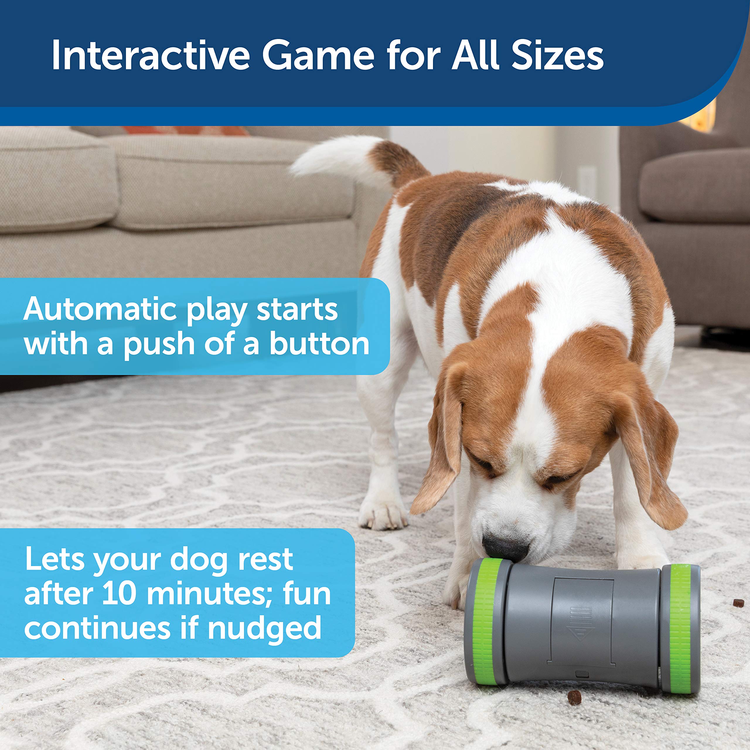 PetSafe Kibble Chase Interactive Dog Toy - Slow Feeder - Electronic Treat Dispenser - Perfect for Small, Medium, and Large Dogs