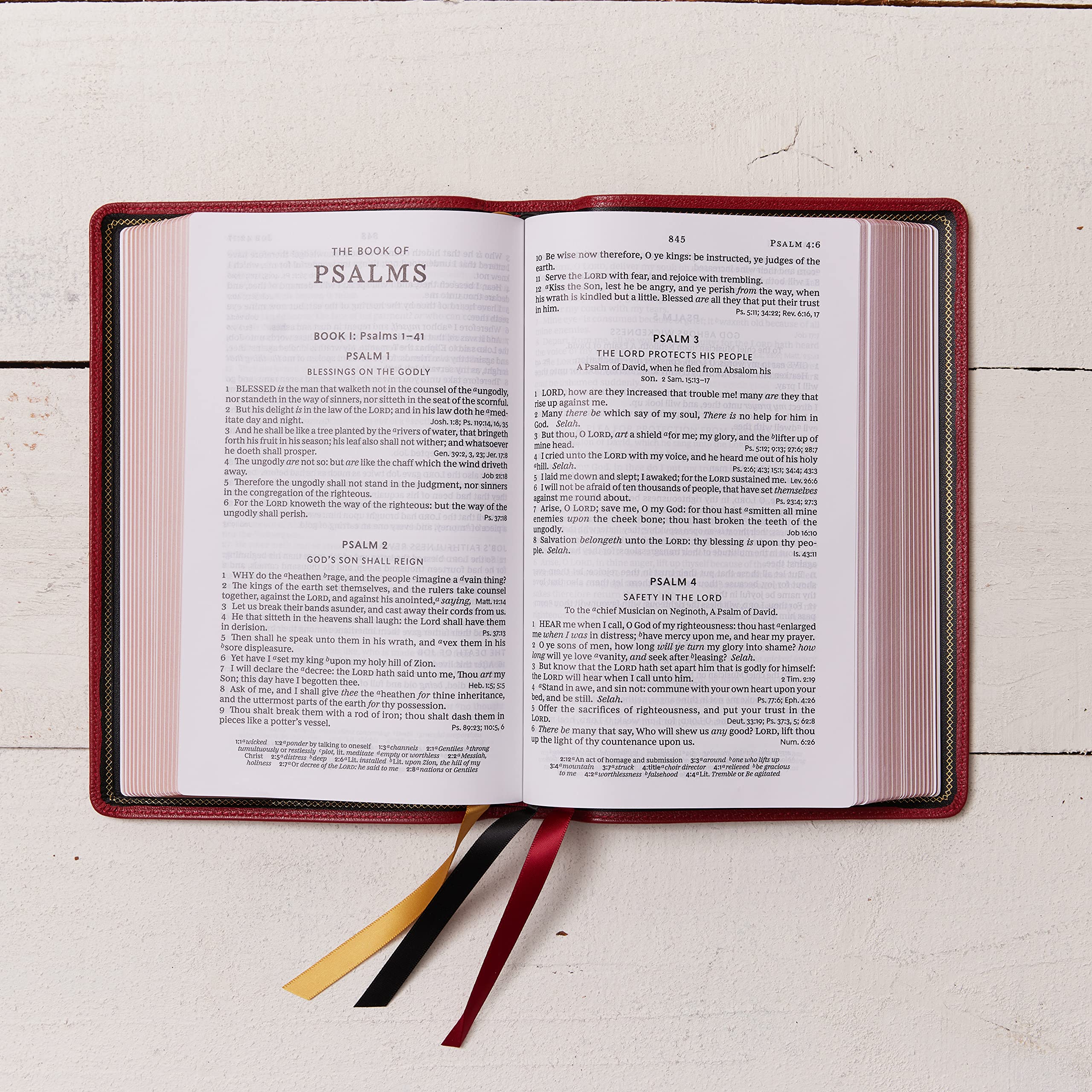 KJV Holy Bible: Large Print Single-Column with 43,000 End-of-Verse Cross References, Red Goatskin Leather, Premier Collection, Personal Size, Red Letter: King James Version KJV Holy Bible: Large Print Single-Column with 43,000 End-of-Verse Cross References, Red Goatskin Leather, Premier Collection, Personal Size, Red Letter: King James Version Leather Bound