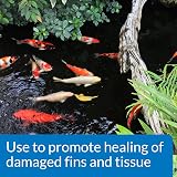 API Pond Melafix Pond Fish Bacterial Infection Remedy 473 ml view 2