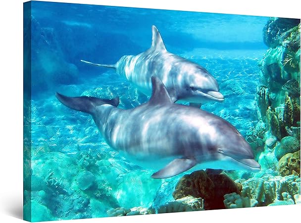 Startonight Impression Sur Toile Les Dauphins Tableau Animaux Decoration Murale Salon Moderne Image Sur Toile 60 X 90 Cm Amazon Fr Cuisine Maison