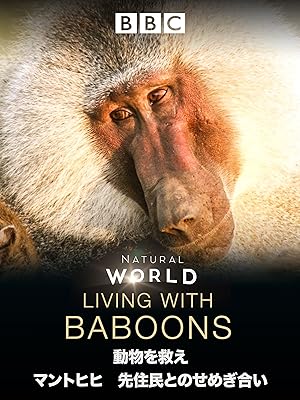 Amazon Co Jp 動物を救え マントヒヒ 先住民とのせめぎ合い 吹替版 を観る Prime Video