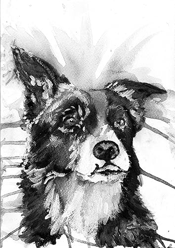 collie dog paintings