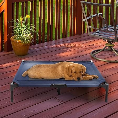 elevated dog bed amazon