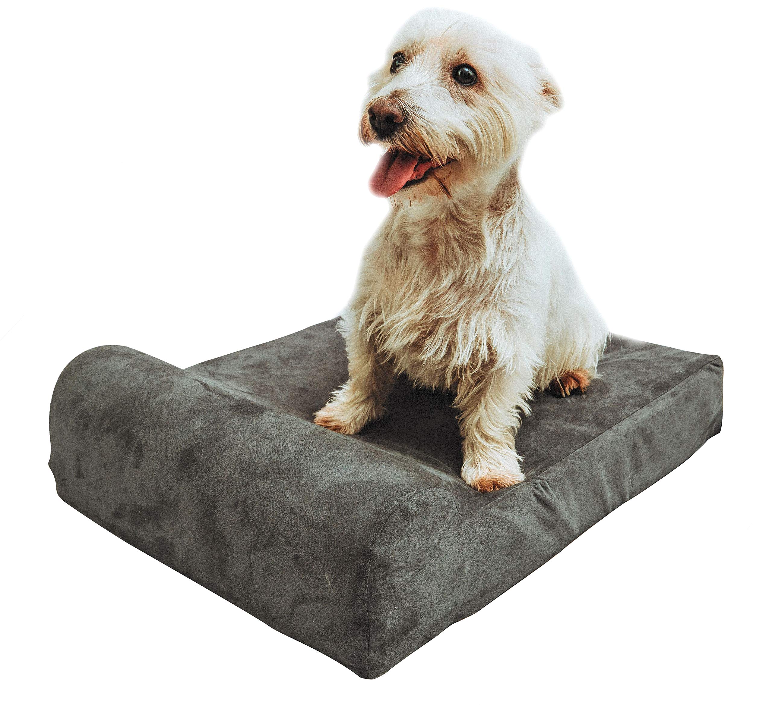 clever paws dog bed
