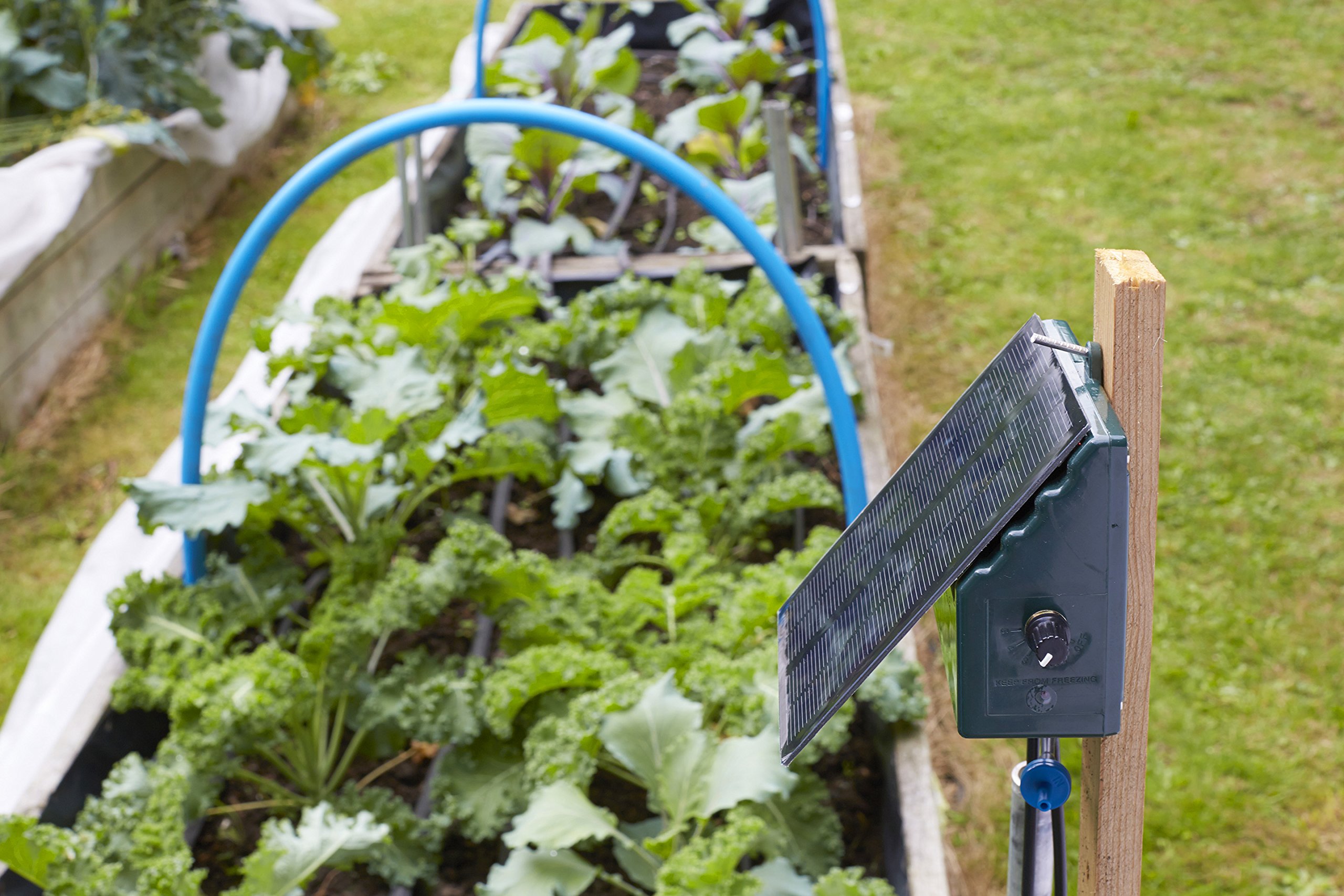 Bosmere L451 Irrigatia C24 Solar Automatic Watering System, Green Buy Online in United Arab