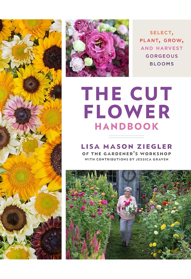 Cool Flowers: How to Grow and Enjoy Long-Blooming Hardy Annual