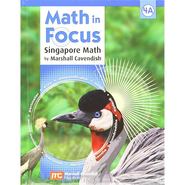 Amazon.com: Math in Focus: The Singapore Approach, Workbook 4B