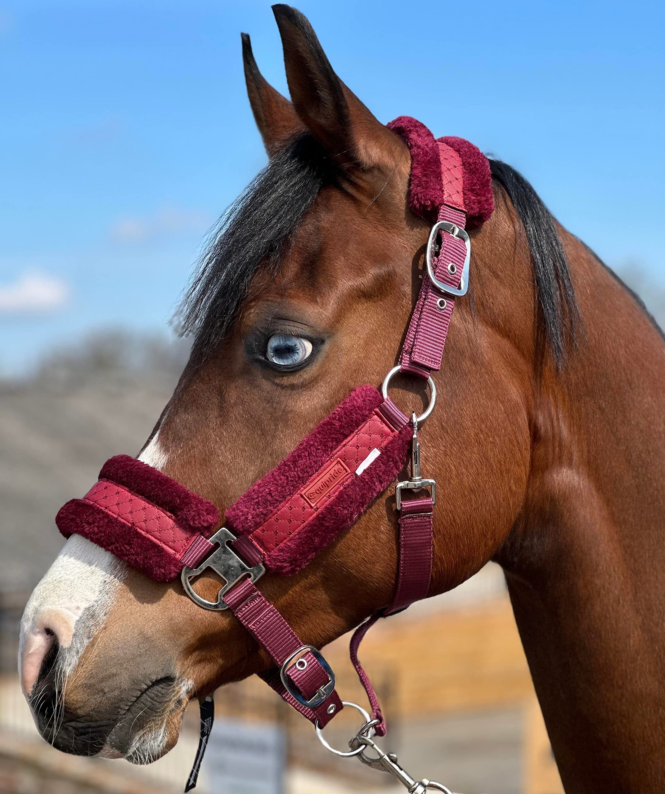 Equipride STAR SHINY HEADCOLLAR WITH LITTLE BLINGY STARS FAUX FUR LINED (Shetland, Maroon)