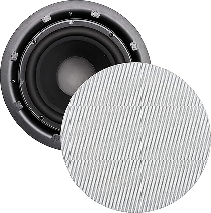 8 inch passive subwoofer