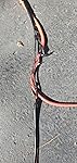 Review Image by Anonymous0000