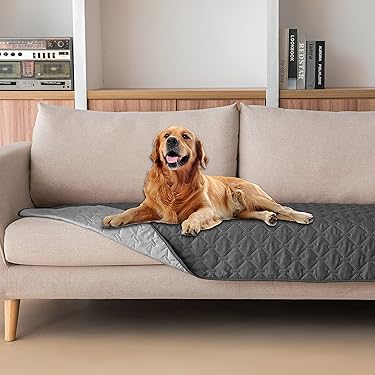 sachin and babi light blue dress Amazon Best Sellers: Best Dog Beds & Furniture