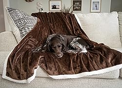 MyPillow Pet Blanket