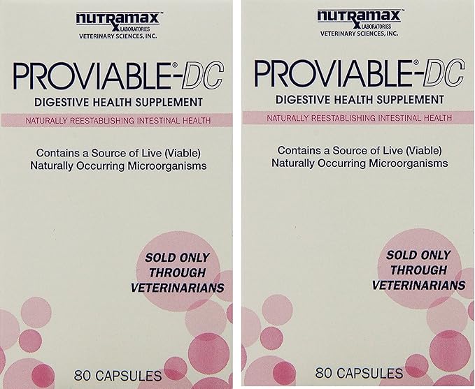 nutramax proviable dc for dogs