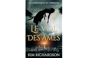 Le Vol des Âmes (French Edition)