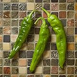 Numex Heritage 6-4 Hatch Chile Hot Pepper Premium