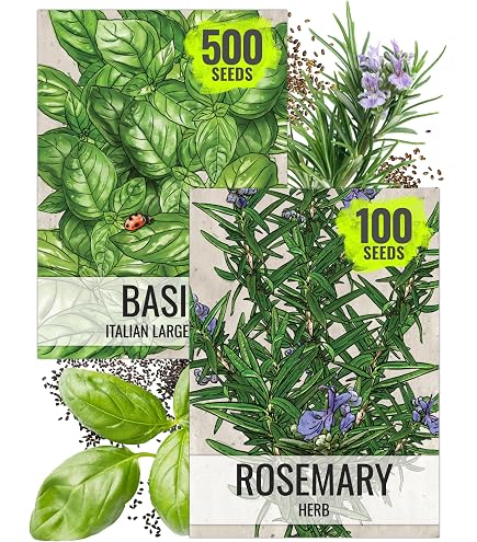 100+ Spearmint Seeds (Mentha Spicata) - Non-GMO, Easy To Grow Herb, Free Shipping!