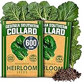 HOME GROWN Georgia Southern Collard Green Seeds