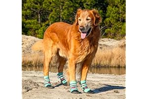 BARK BRITE All Weather Neoprene Paw Protector Dog Boots with Reflective Straps in 5 Sizes! (Turquoise Large)