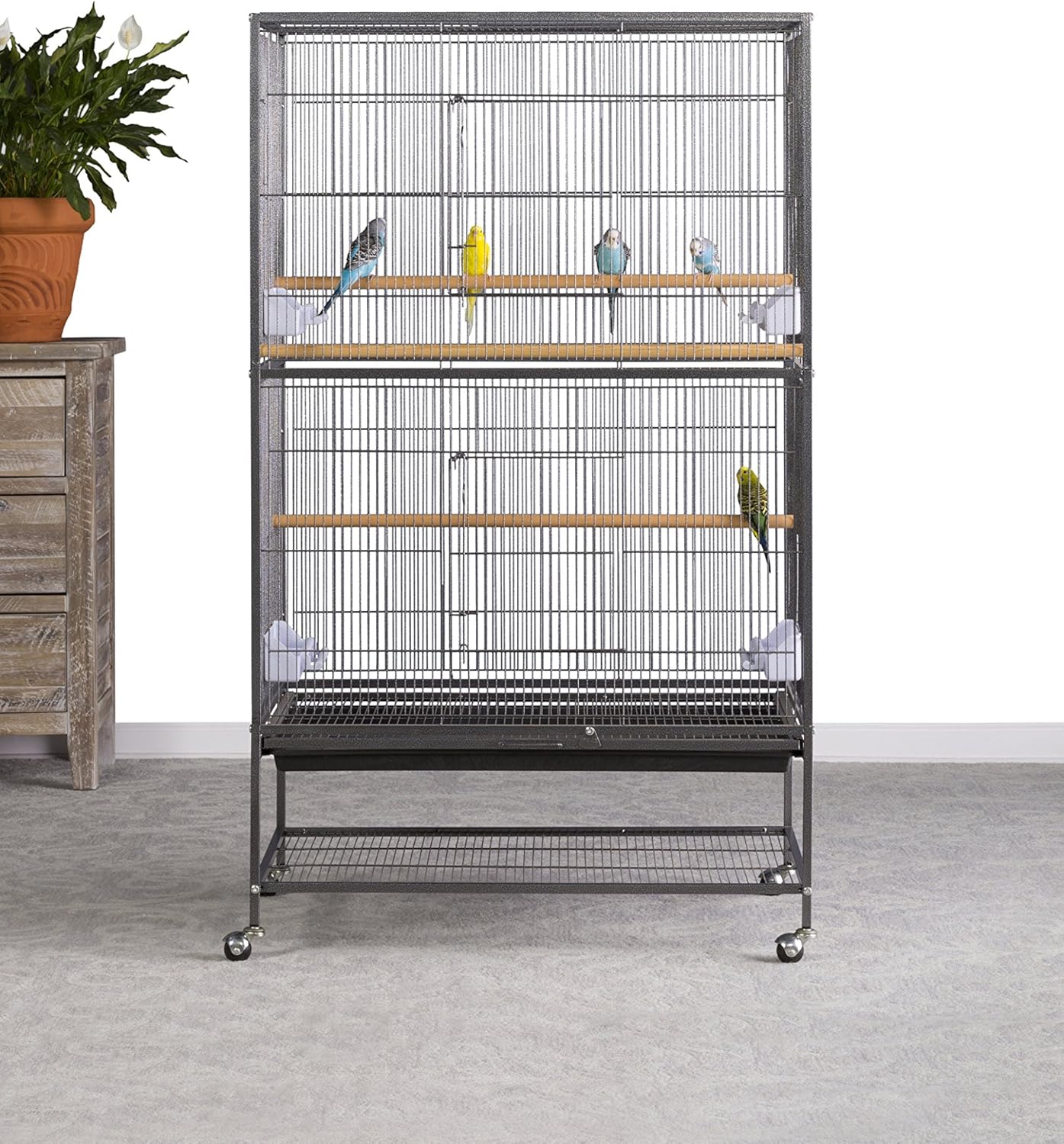 Prevue Pet Products Wrought Iron Flight Cage with Stand F040 Black Bird Cage, 31-Inch by 20-1/2-Inch by 53-Inch : Birdcages : Pet Supplies