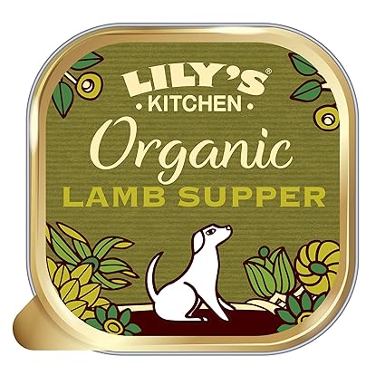 lily's kitchen organic cat food