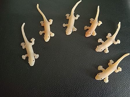 Amazon Max Corner ゴム製トカゲ 6個 リアルな偽爬虫類おもちゃ 動物フィギュア いたずら小道具 ジョーク ギャグパーティー用 ジョーク どっきり おもちゃ