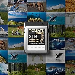 TEAMGROUP T-Create Expert 512GB CFexpress 2.0 Type