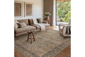 Bavni Area Rug 8x10 for Living Room Bedroom Dining Room, Washable Rugs Vintage Distressed Print Carpet, Ultra-Thin Chenille L