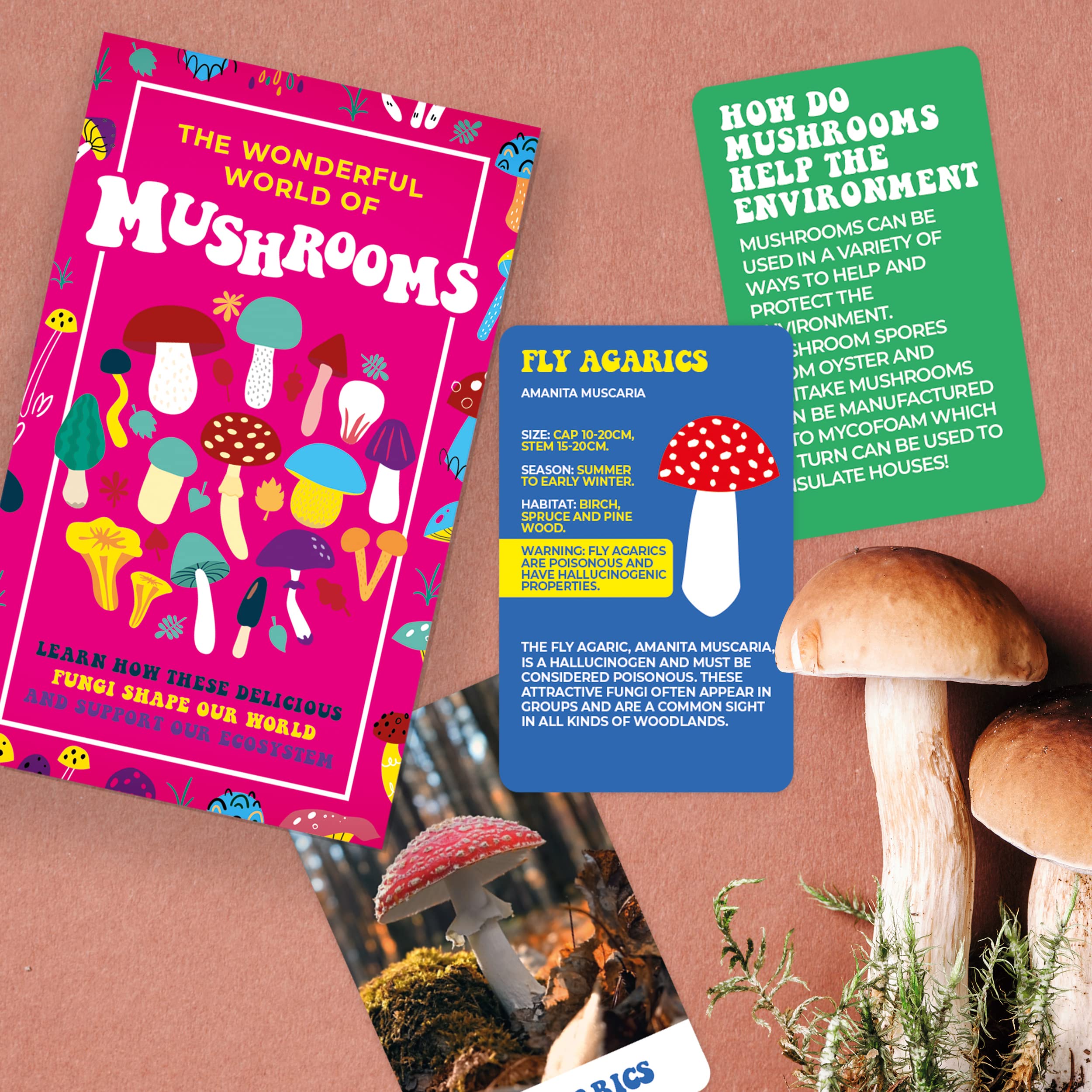 Gift Republic - The Wonderful World of Mushrooms Card Pack