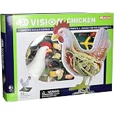 Tedco 4D Vision Chicken Anatomy Model