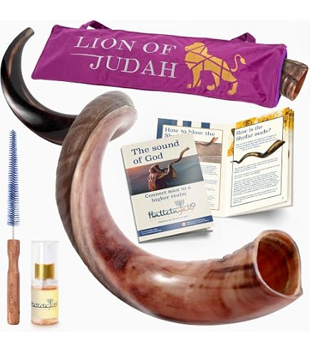 Shofar Casher Corne De Bélier Taille M 33-35 Cm Noir Poli - Fabriqué En Israël