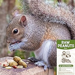 THE AMISH ECO-FARM | Fancy Size | Bulk Raw Peanuts