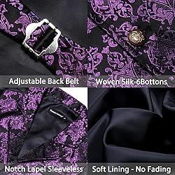 Barry.Wang Dark Purple Black Victorian Vest Loki
