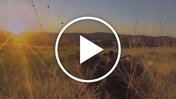 A video posted by the author.