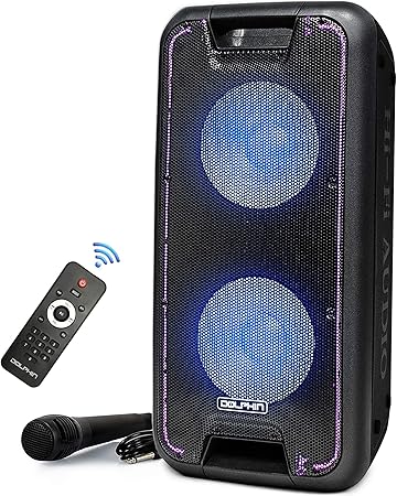 dolphin dual 10 inch speaker