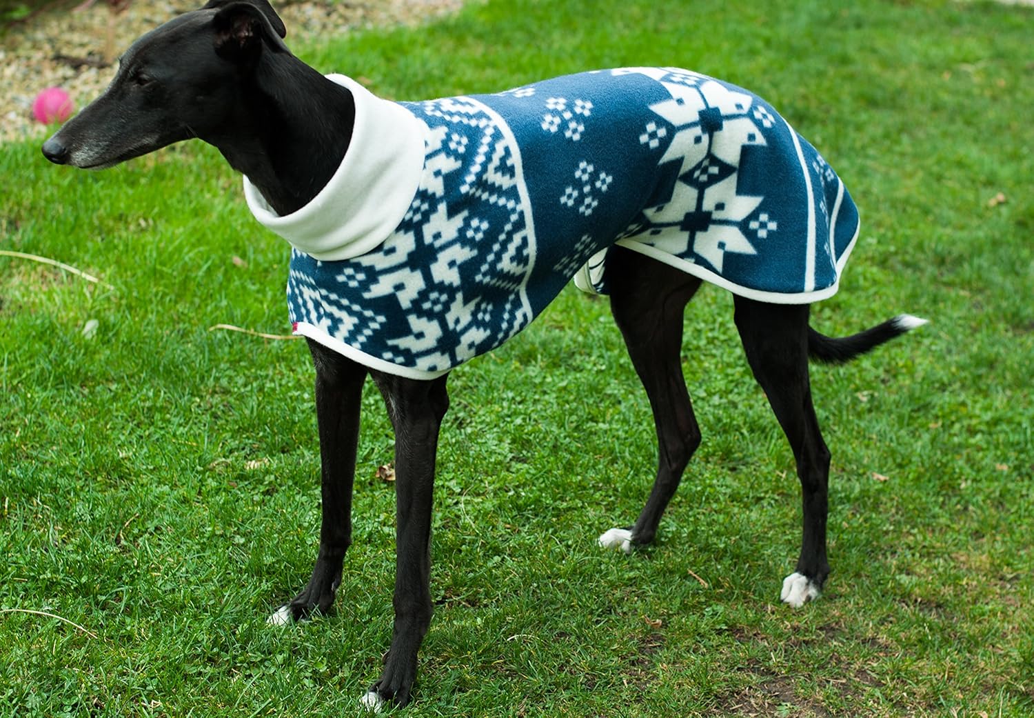Whippet house coat Clearance